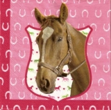 Hübsches Pferd - Pretty horse - Jolie Cheval