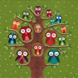 Der Eulenfamilienbaum grün - The owl family tree - Larbre généalogique de la chouette