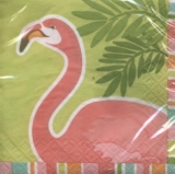 Flamingo - flamant - flamenco - fenicottero