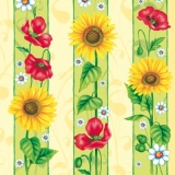 Margeriten, Mohn- & Sonnenblumen - Daisies, poppies and sunflowers - Marguerites, coquelicots et tournesols