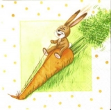 Hase auf seiner schnellen Möhre - Rabbit on his fast Carrot - Lapin sur son Carotte rapide
