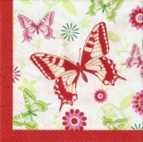 Schmetterlinge im Blumenbeet - Butterflies in the flowerbed - Papillons dans le parterre de fleurs