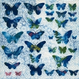 Wunderschöne Schmetterlinge - Beautiful butterflies - jolie papillons