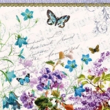 Glockenblume, Flieder, Noten, Schmetterlinge.... - Knapweed, lilac, Music, butterflies.... - Centaurée, lilas, notes, papillons, musique