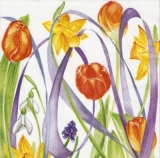 Tulpen, Narzissen, Traubenhyazinthe, Schneeglöckchen - Tulips, daffodils, grape hyacinth, snowdrops - Tulipes, jonquilles, jacinthes, perce-neig
