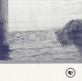 Hund am Meer - Dog at the sea - Chien en mer