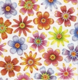 Bunte Blumen - colorful flowers - Fleurs colorées