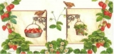 Kleiner Vogel, Erdbeeren & Äpfel - Little bird, apples & strawberries - Petit oiseau fraises & pommes
