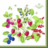 Früchte - Beeren - Fruits, Berries - Fruits, baies