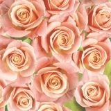 Pastellfarbener Rosenteppich - Pastel-colored roses - Roses de couleurs pastel