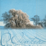 Winterlandschaft - Winter landscape - Paysage dhiver