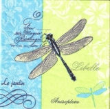 Libellen & Geschriebenes - Dragonflies & writing - Libellules et écrite