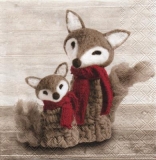 Mutter Fuchs mit kleinem Fuchs - Mother fox with little fox - Mère renard avec le petit renard