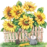 Sonnenblumen im eigenen Garten - Sunflowers in your garden - Tournesols dans votre jardin