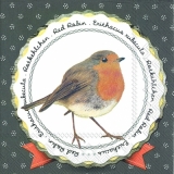 Kleines Rotkehlchen - Little Robin - Petit rouge-gorge