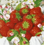 Erdbeeren & Apfelblüten - Strawberries & apple blossom - Fraises & fleur de pommier
