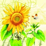 Sonneblumen & Schmetterlinge - Sunflower & butteflies - Tournesol & papillons