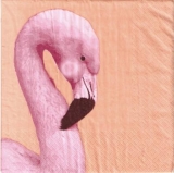 Wunderschöner Flamingo - Beautiful Flamingo - Belle Flamingo