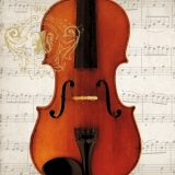 Violinenkonzert, Musik, Noten - Violin concert, music - Violon, Concert de violons, musique