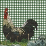 Hahn, Hahn & grüne Karos - Chicken, Cock & green squares - Poulet, coq & carrés verts