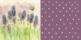 Kleine Biene an Lavendelblüten - Little bee and lavender - Peu d abeille et lavande