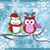 Wintereulen - Winter Owls - hiboux dhiver