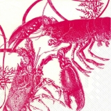Hummer - Lobster - l homard