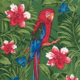 Papagei, Hibiskus & tropisches Grün -  Parrot, hibiscus and tropical greenery - Parrot, dhibiscus et de végétation tropicale