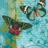 2 Wunderschöne Schmetterlinge - 2 beautiful butterflies - 2 papillons jolie