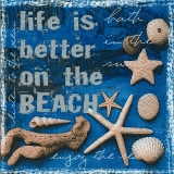 Muscheln, Seestern - Life is better on the beach - Shellfish and starfish - Coquillages, étoiles de mer