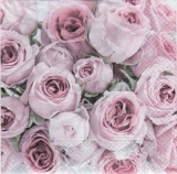 Rosen in zartem rosé - Roses in delicate rosé - Roses dans délicate rosé