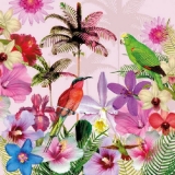 Tropische Blüten & exotische Vögel - Tropical blossoms & exotic birds - Fleurs tropicales & oiseaux exotiques