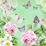 Rosen & Schmetterlinge - Roses & Butterflies - Roses & Papillons