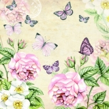 Rosen & Schmetterlinge cream - Roses & Butterflies - Roses & Papillons