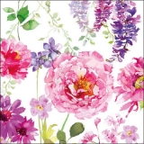 Wunderschönes Blumenbeet -  Pretty flower bed - Parterre de fleurs Jolie