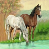 Pferde-Freunde - Horse-friends - Amis de cheval