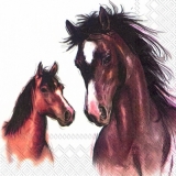 2 wunderhübsche Pferde weiss - 2 pretty horses - 2 très jolis chevaux