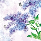 Schmetterlinge an Fliederblüten - Butterflies on lilac - Papillons sur lilas