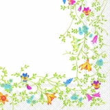 Hübscher, zarten Blumenrahmen - Pretty, delicate floral frame - Jolie floral, délicat