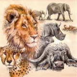 Löwen, Gepard, Nashorn, Büffel, Elefant - The Big Five, Lion, cheetah, rhino, buffalo, elephant - Lions, guépard, rhinocéros, buffle, éléphant