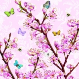 Schmetterlinge & Obstbaumblütezeit, rose - butterflies & blooming fruit-tree - papillons & floraison d arbre fruitier