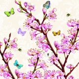Schmetterlinge & Obstbaumblütezeit - Butterflies & blooming fruit-tree - papillons & floraison darbre fruitier