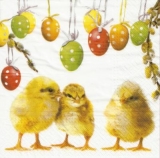 Ostereier, Küken & Weidenkätzchen - Easter eggs, fledglings & catkins - Oeufs de Pâques, poussins & chatons de saule