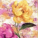 Wunderschöne Blumen & Geschriebenes - Wonderful flowers & writting - Magnifiques fleurs & écriture