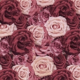 Wunderschöner Rosenteppich - Beautiful rose carpet - Tapis de roses merveilleux