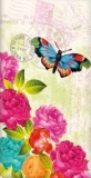 Schmetterling an Blüten - Butterfly & Flowers - Papillon & Fleurs