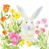 Hase & Küken im Blumenbeet - Bunny & Chicks in flower bed - Lièvre & poussin dans le massif de fleurs