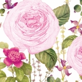 Die Rosen in meinem Blumengarten - The roses in my flower garden - Les roses dans mon jardin dagrément