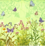 Blumenwiese mit Schmetterlingen - Flower meadow with butterflies - Pré de fleurs avec des papillons