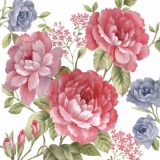 Rosen rose & blau - Roses pink & blue - Roses rose & bleu